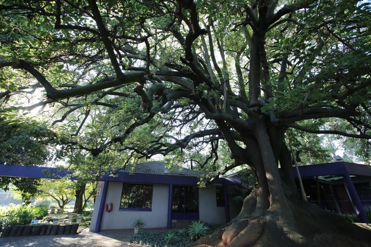 מלון Big Tree מידרנד מראה חיצוני תמונה